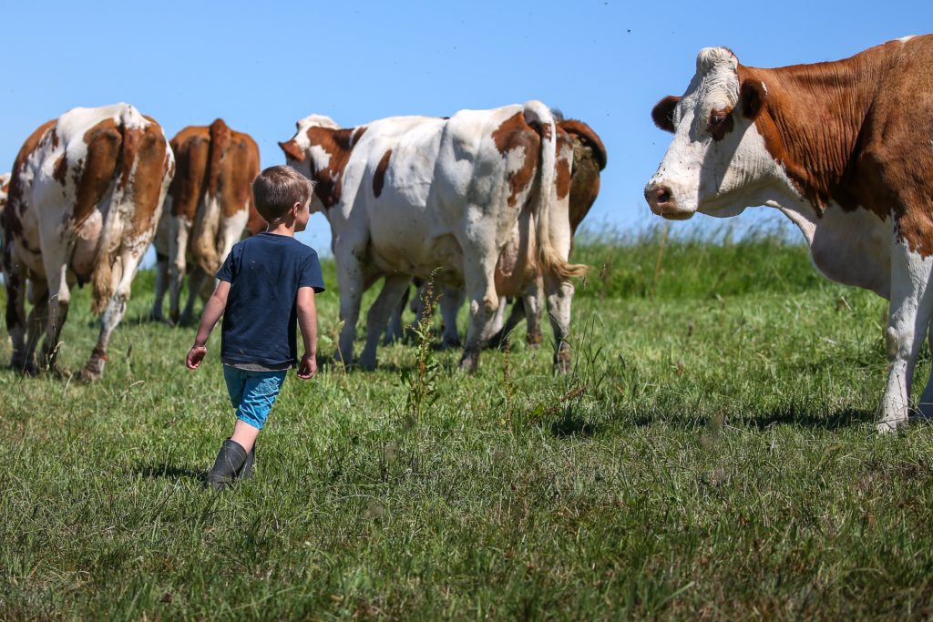 Soutien à l’agriculture : la COR à l’initiative