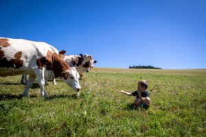 Politique agricole de la COR